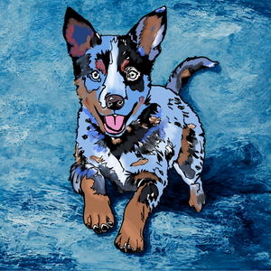 The Droving Dog